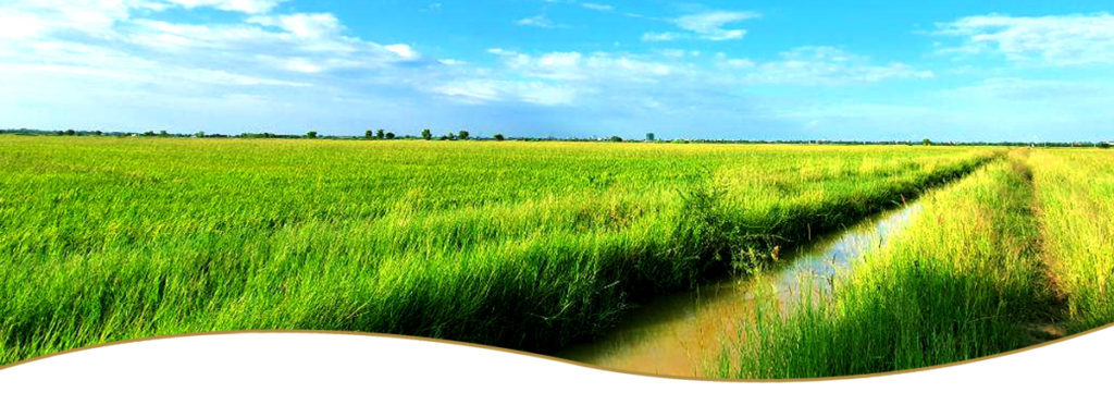 HAK SE RICE MILL